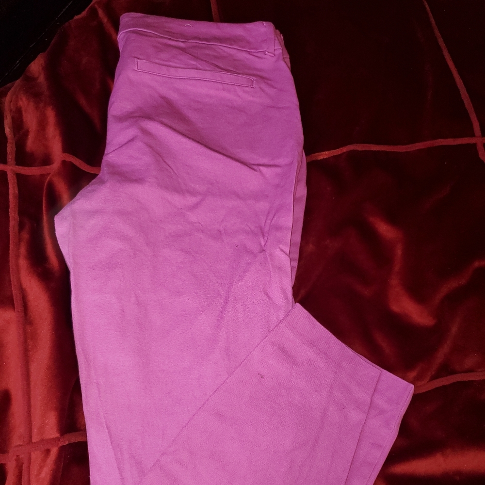 Beautiful Pinkish Lavender Pixie Pants - image 1